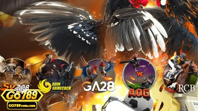 Đá Gà Go789 - Trải nghiệm cá cược đá gà trực tuyến đỉnh cao 4 Dịch vụ cá cược chất lượng đỉnh cao theo chuẩn quốc tế