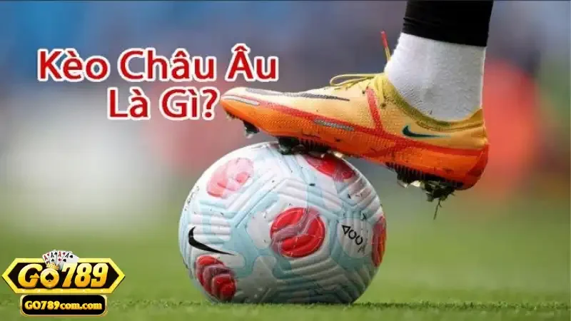 Cách tính lợi nhuận khi cược