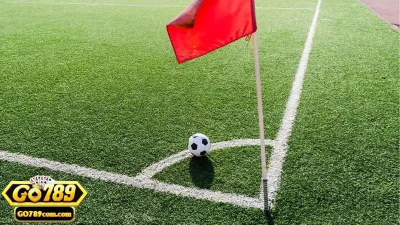 Các yếu tố ảnh hưởng tỷ lệ ra kèo